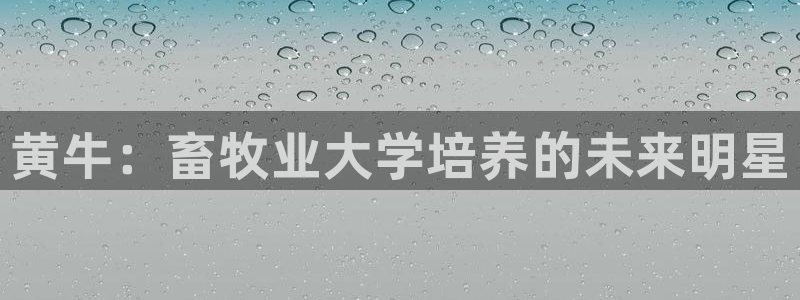 乐虎国际唯一官网登录入口小红书